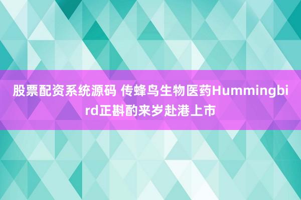 股票配资系统源码 传蜂鸟生物医药Hummingbird正斟酌来岁赴港上市